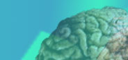Neural Networks tool